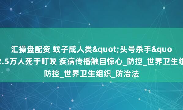 汇操盘配资 蚊子成人类"头号杀手"：每年72.5万人死于叮咬 疾病传播触目惊心_防控_世界卫生组织_防治法